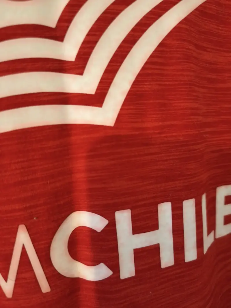 Poleron New Balance Team Chile - 5