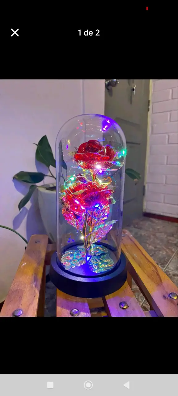 Rosa LED en cúpula de vidrio - 1
