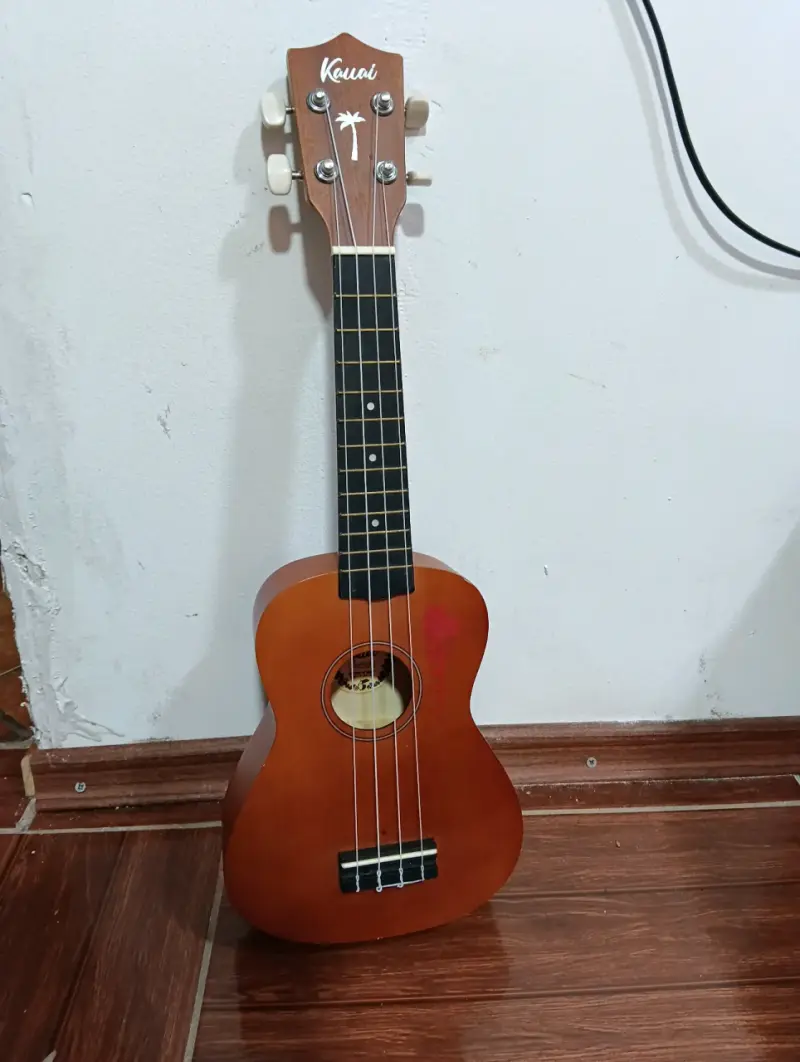 Ukelele - 3