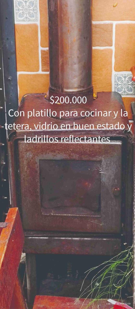 Estufa a leña con vidrio - 1
