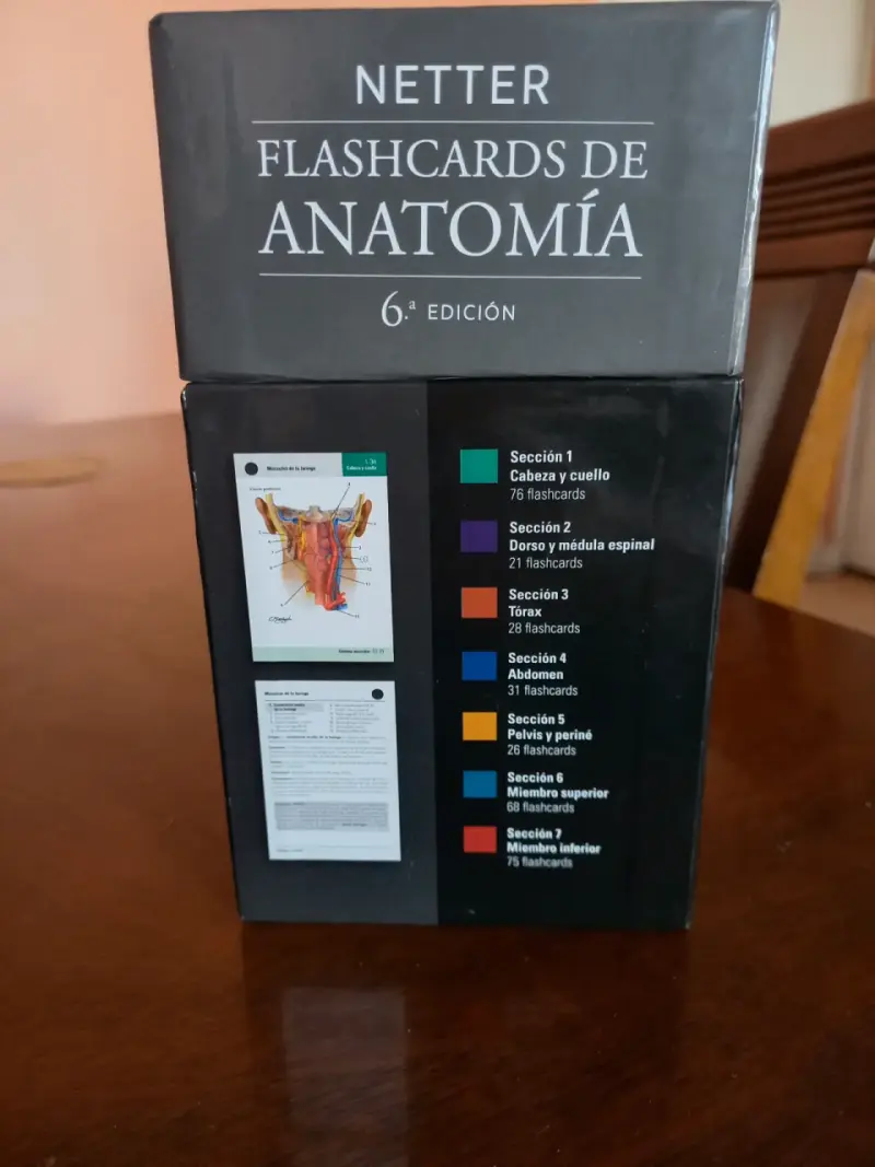 Flashcards de anatomía Netter sexta edición - 2