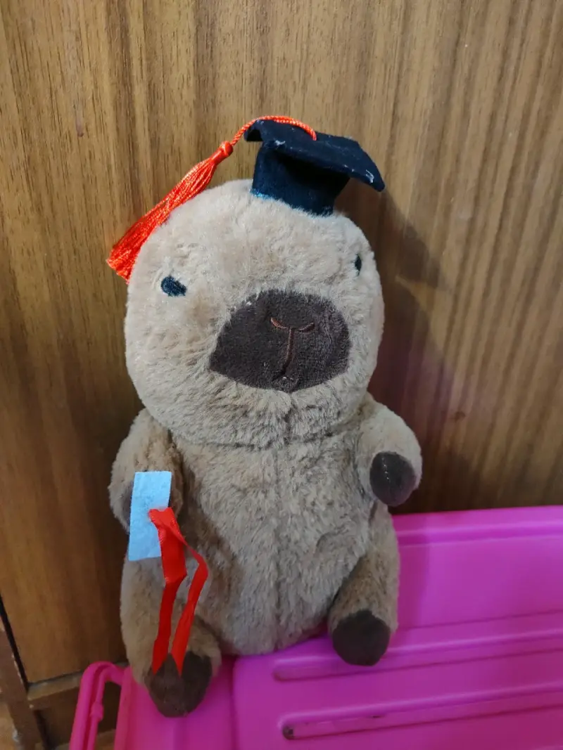 Peluche de capibara graduación - 1
