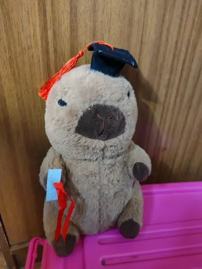 Peluche de capibara graduación - miniatura 1