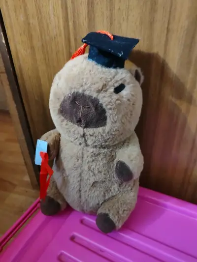 Peluche de capibara graduación - miniatura 2