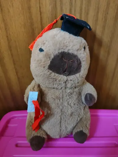 Peluche de capibara graduación - miniatura 3