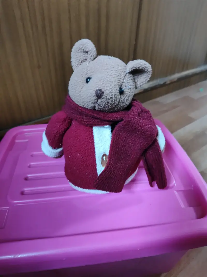 Osito de peluche navideño - 4