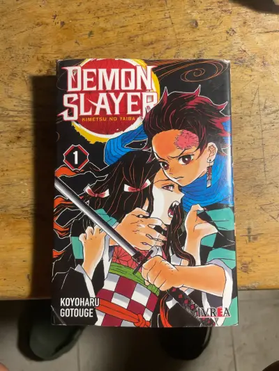 Manga Demon Slayer Vol. 1 - miniatura 1