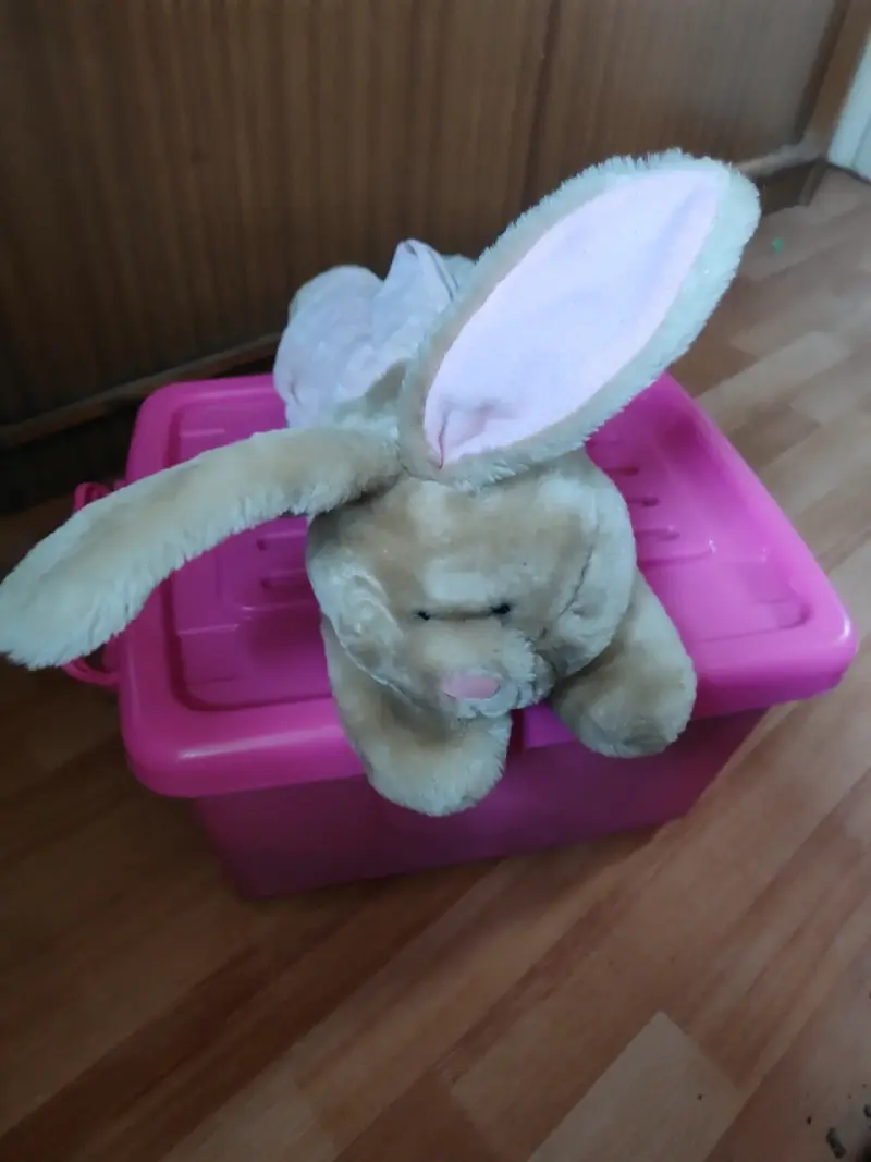 Conejo de peluche y almohada. Especial para niños - 4
