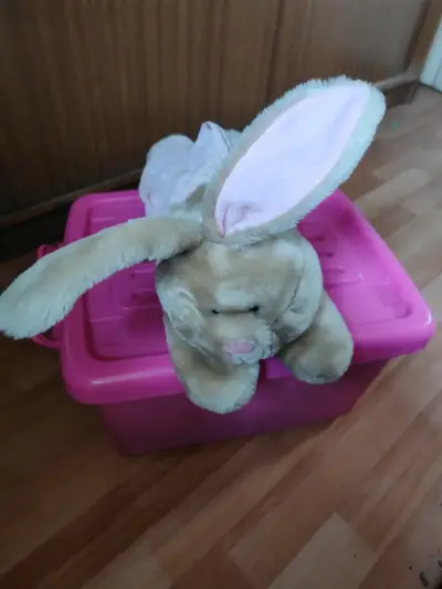 Conejo de peluche y almohada. Especial para niños - miniatura 4
