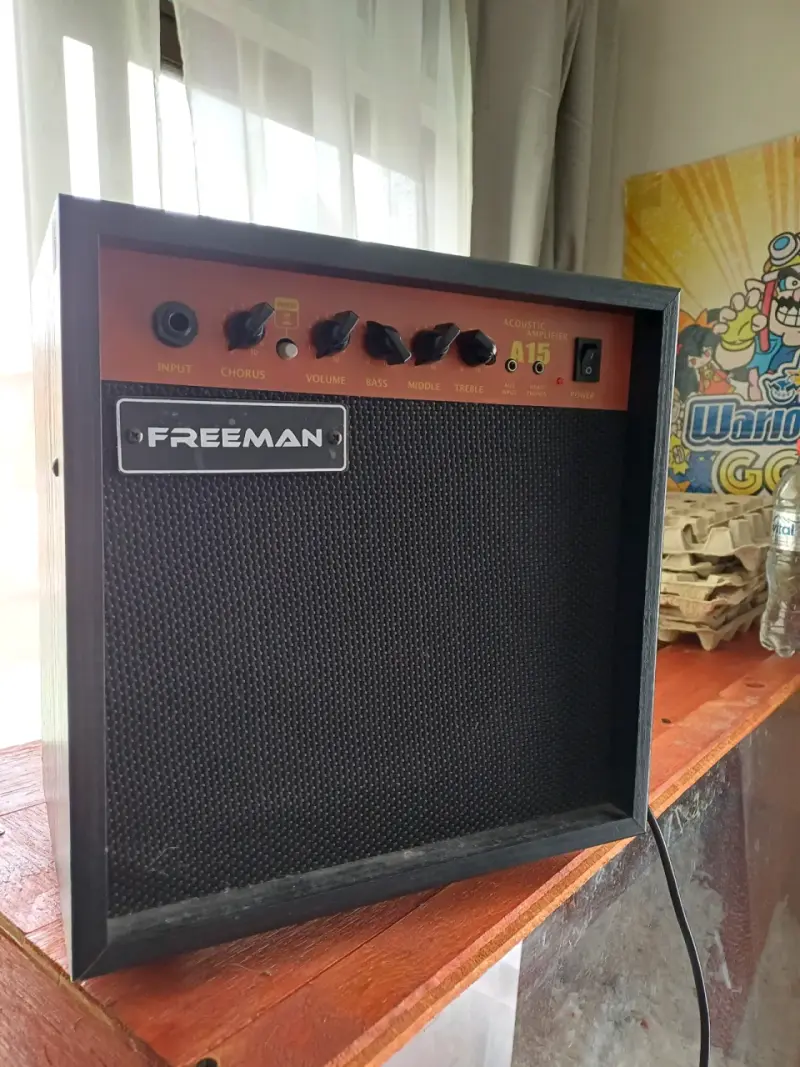 Amplificador acústico Freeman A15 - 1