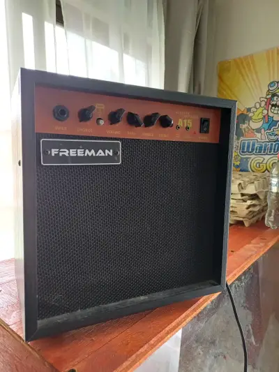 Amplificador acústico Freeman A15 - miniatura 1
