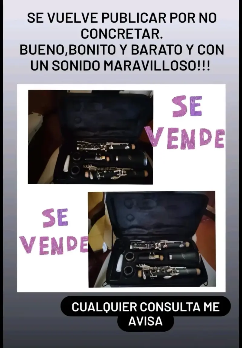 Clarinete con Estuche
