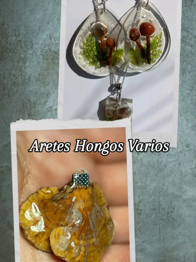 Joyería y recuerdos con botánica de Chiloe - 3