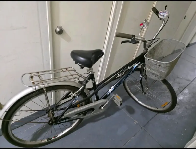 Bicicleta urbana con canasto - 1