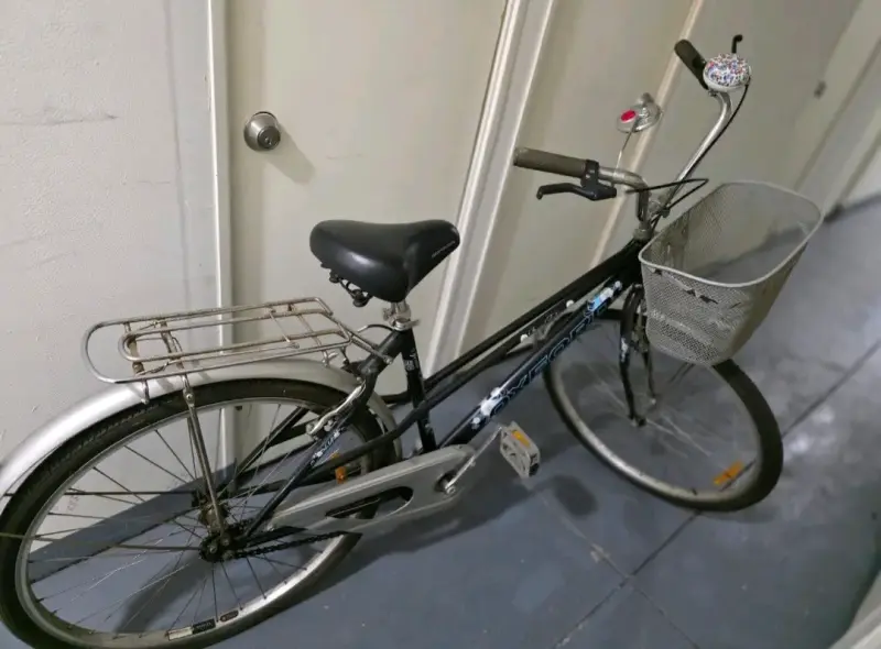 Bicicleta urbana con canasto - 2
