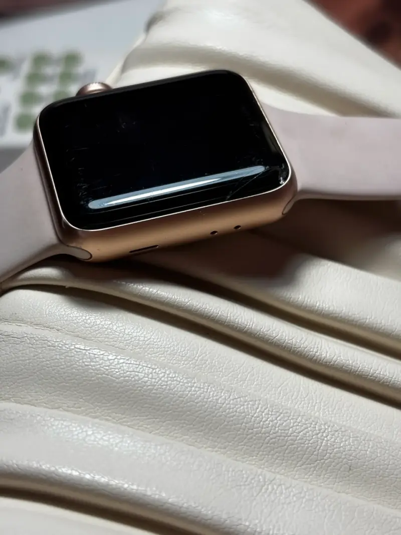 Apple Watch Series 3 - 1