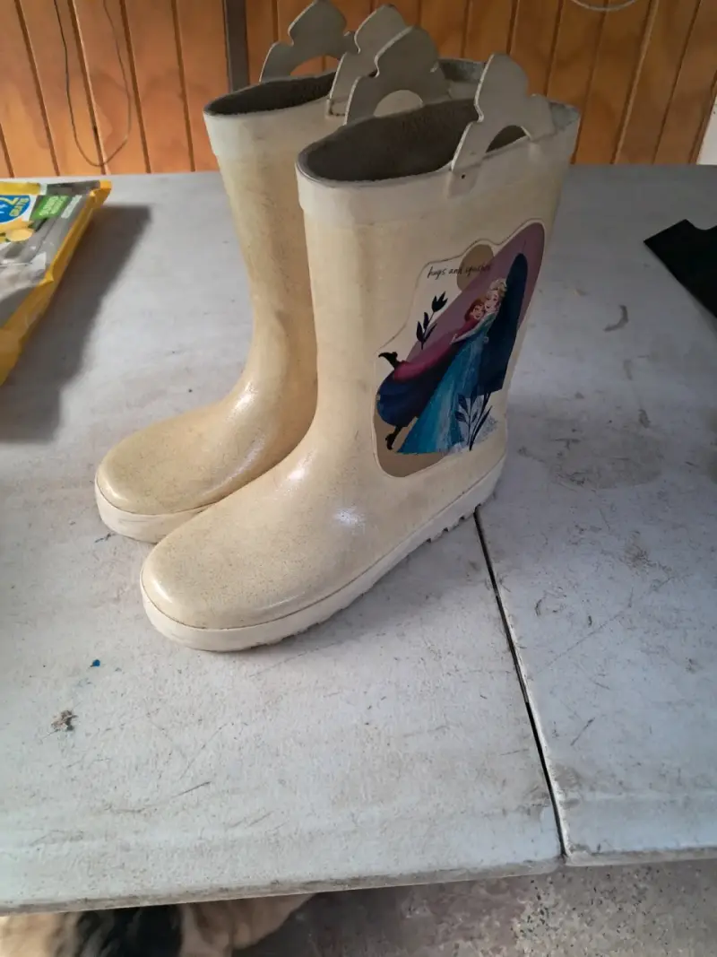 Botas infantiles Frozen - 2