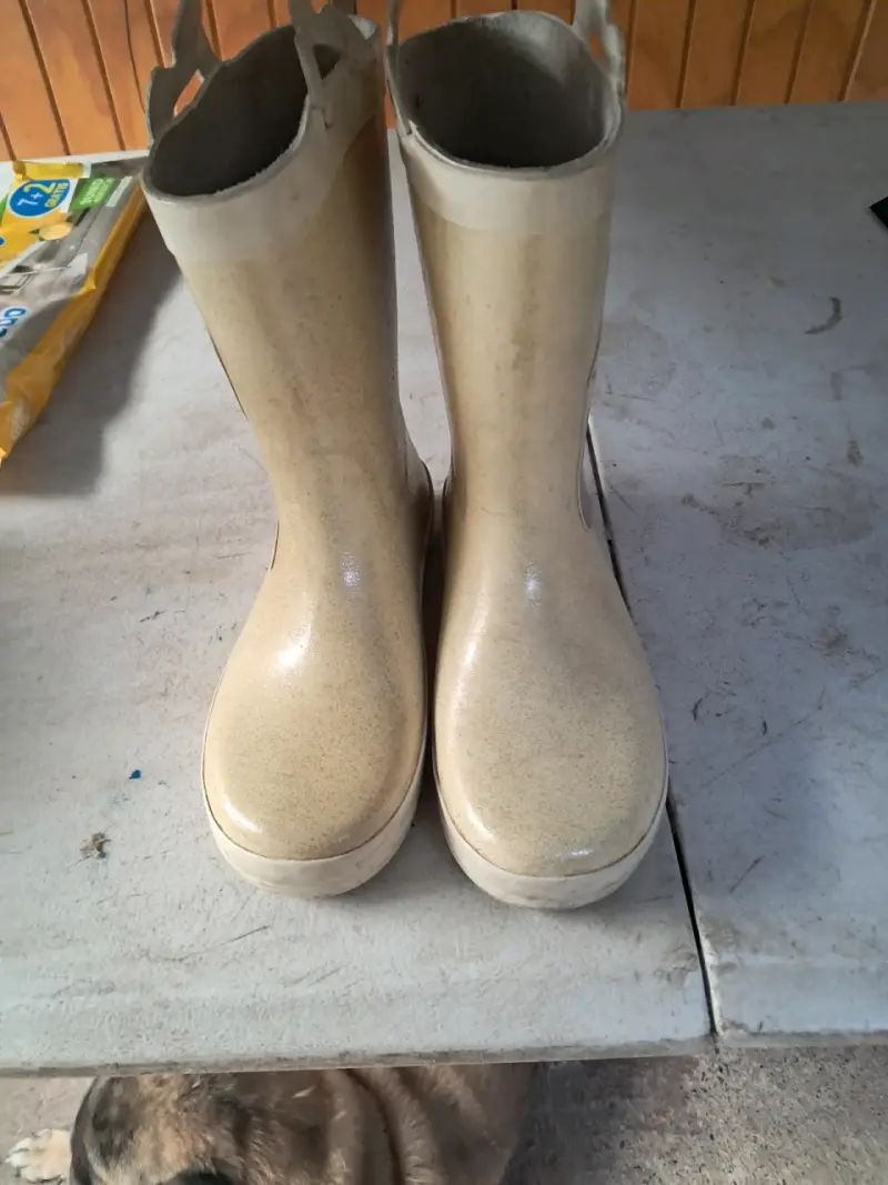 Botas infantiles Frozen - 3