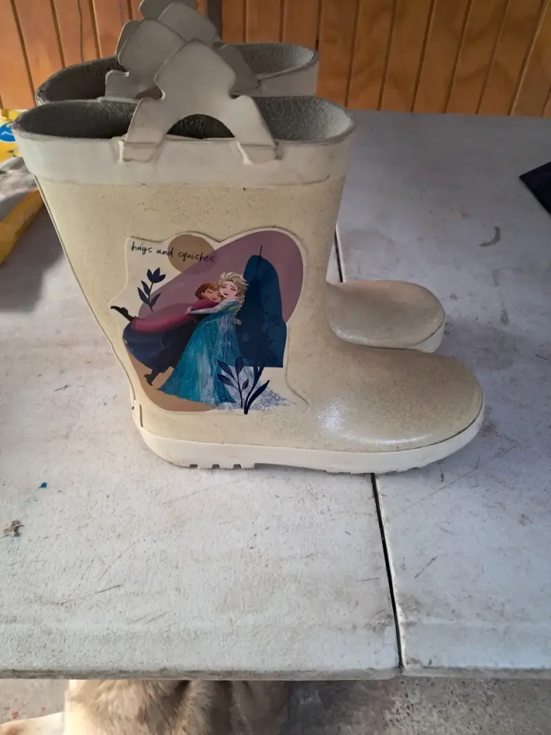 Botas infantiles Frozen - 4
