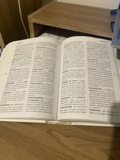 Diccionario de uso del español de Chile - miniatura 4