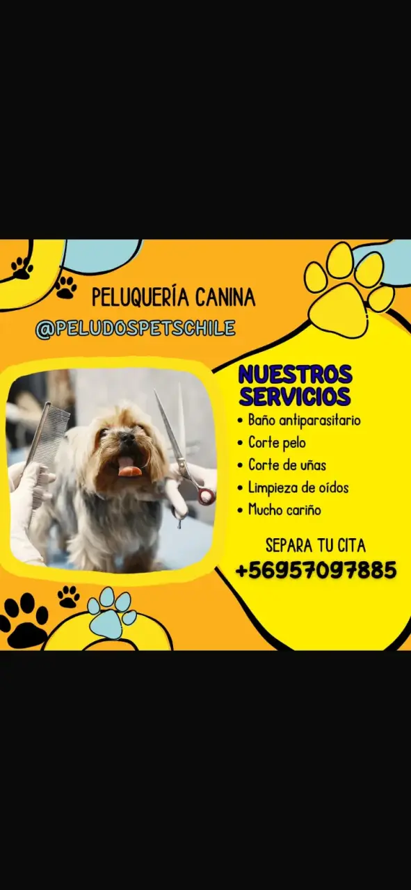 !Peluqueria canina y felina ! - 2