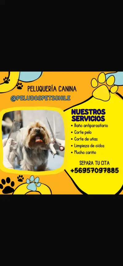 !Peluqueria canina y felina ! - miniatura 2