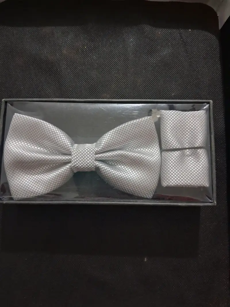Corbatín plateado elegante