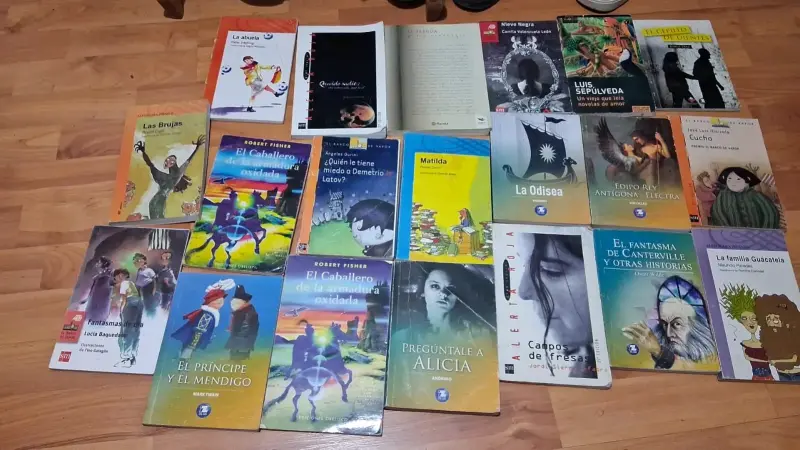Lote de libros variados