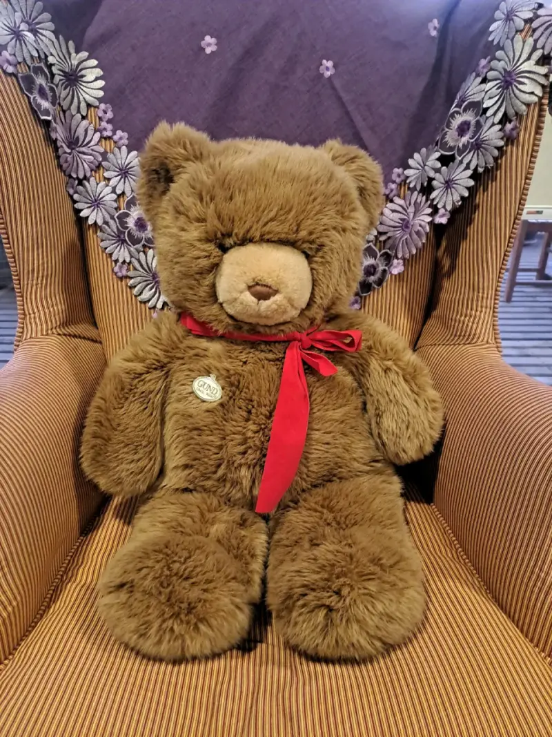 Osito de peluche grande,Lindo, suave y nuevo - 1