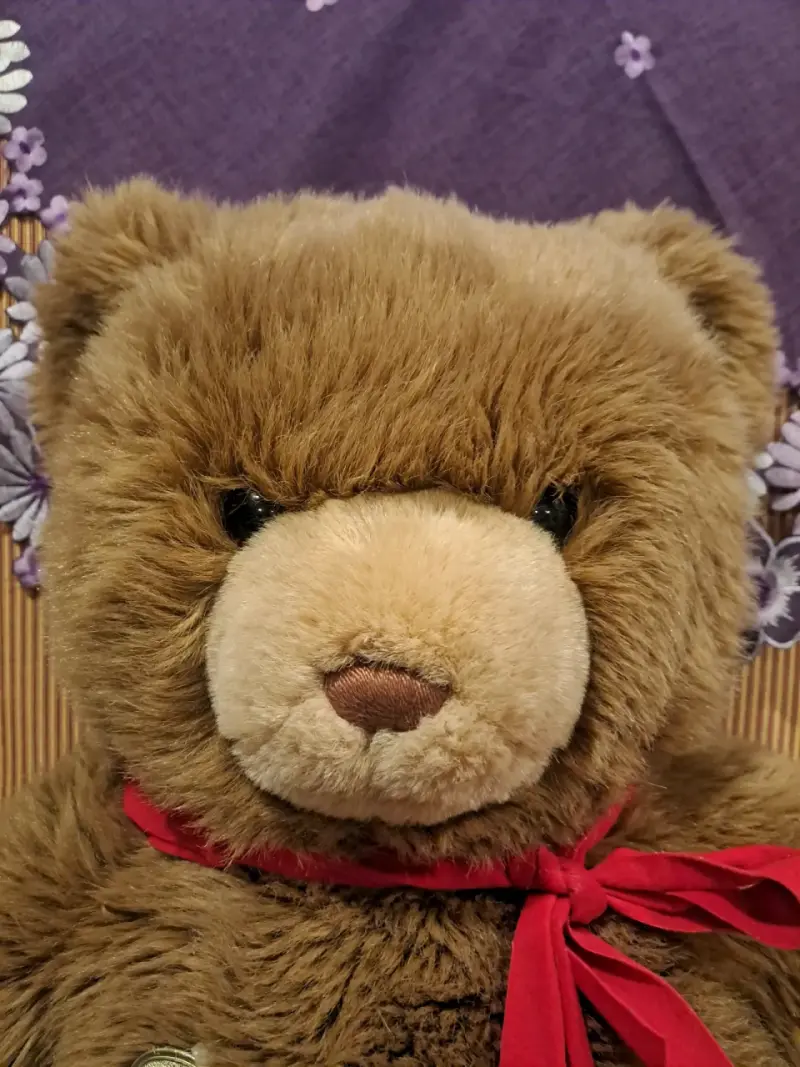 Osito de peluche grande,Lindo, suave y nuevo - 2