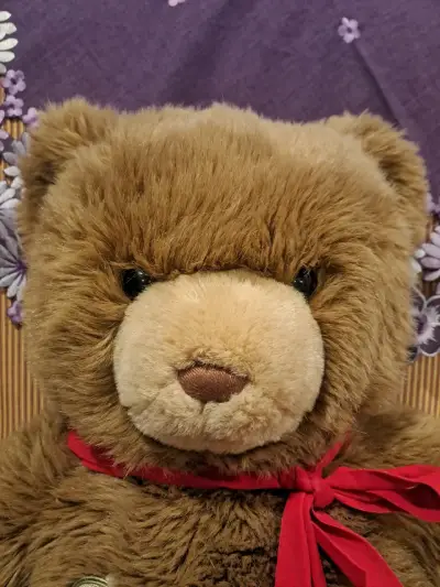 Osito de peluche grande,Lindo, suave y nuevo - miniatura 2