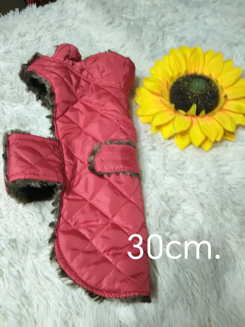 Chaqueta azul para perro - 5