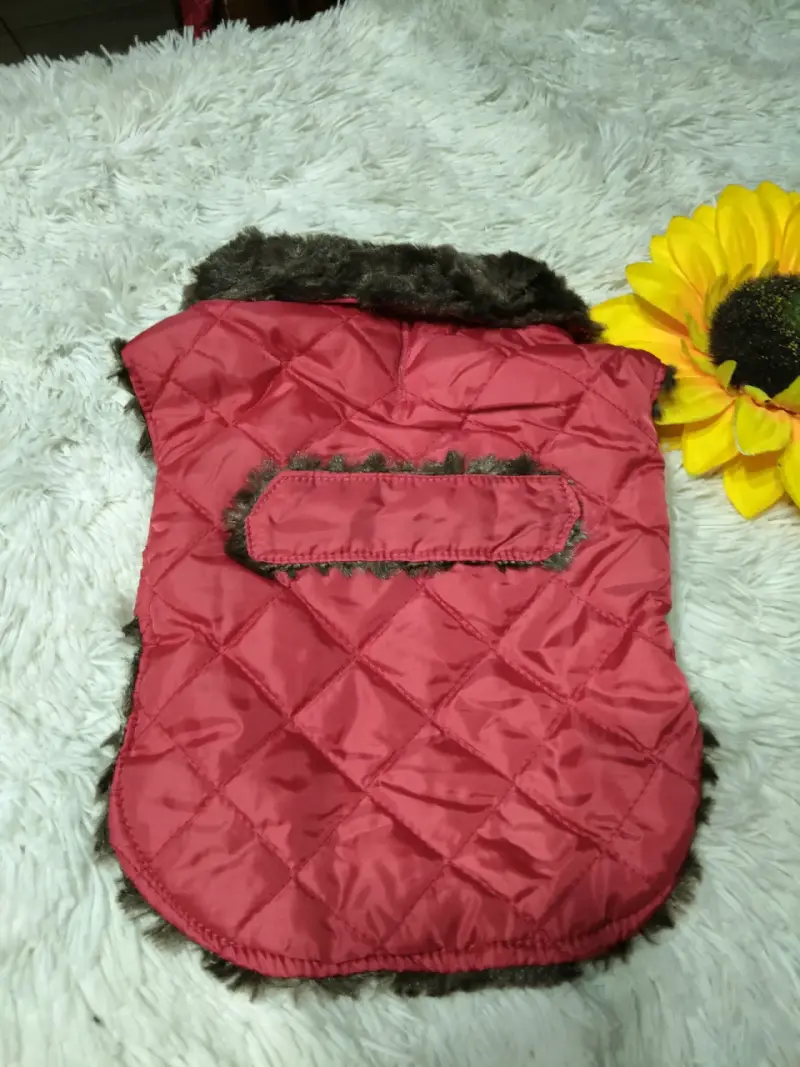 Chaqueta azul para perro - 6