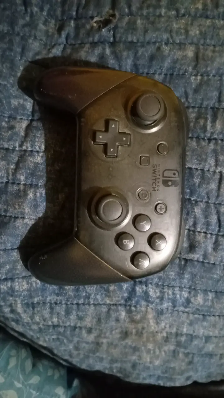 Controlador Pro para Switch - 1