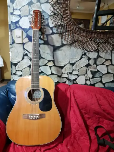 Guitarra acústica de 12 cuerdas - miniatura 1