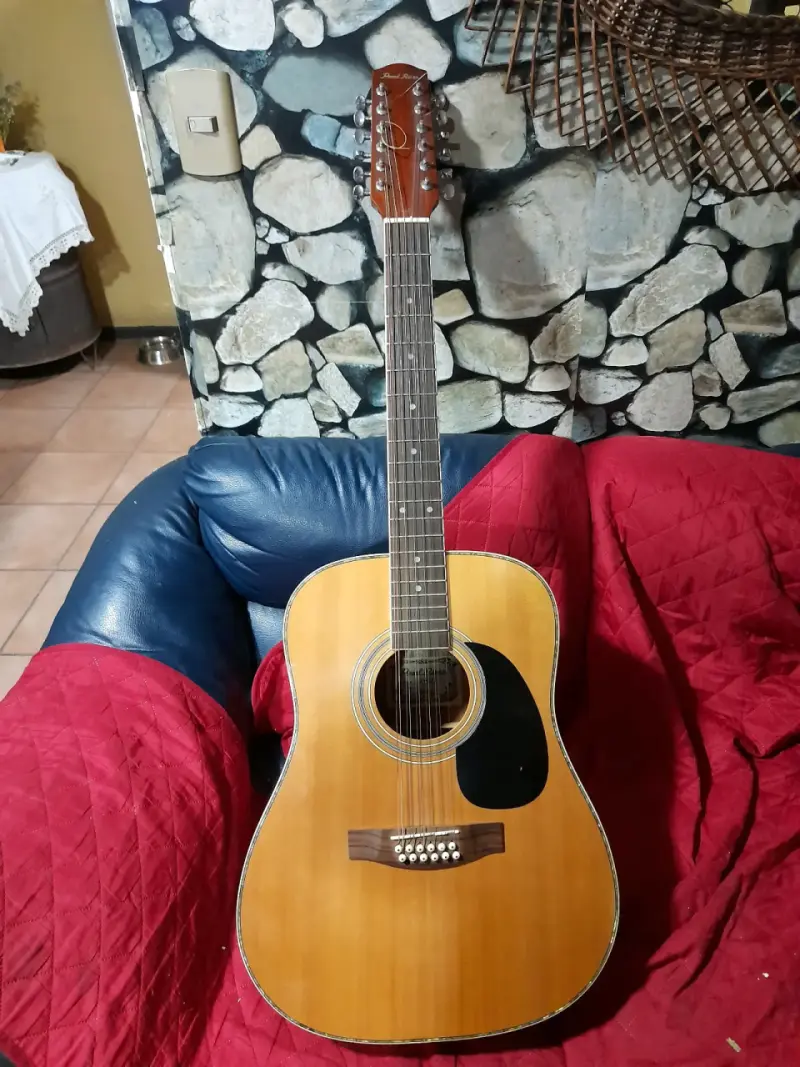 Guitarra acústica de 12 cuerdas - 5