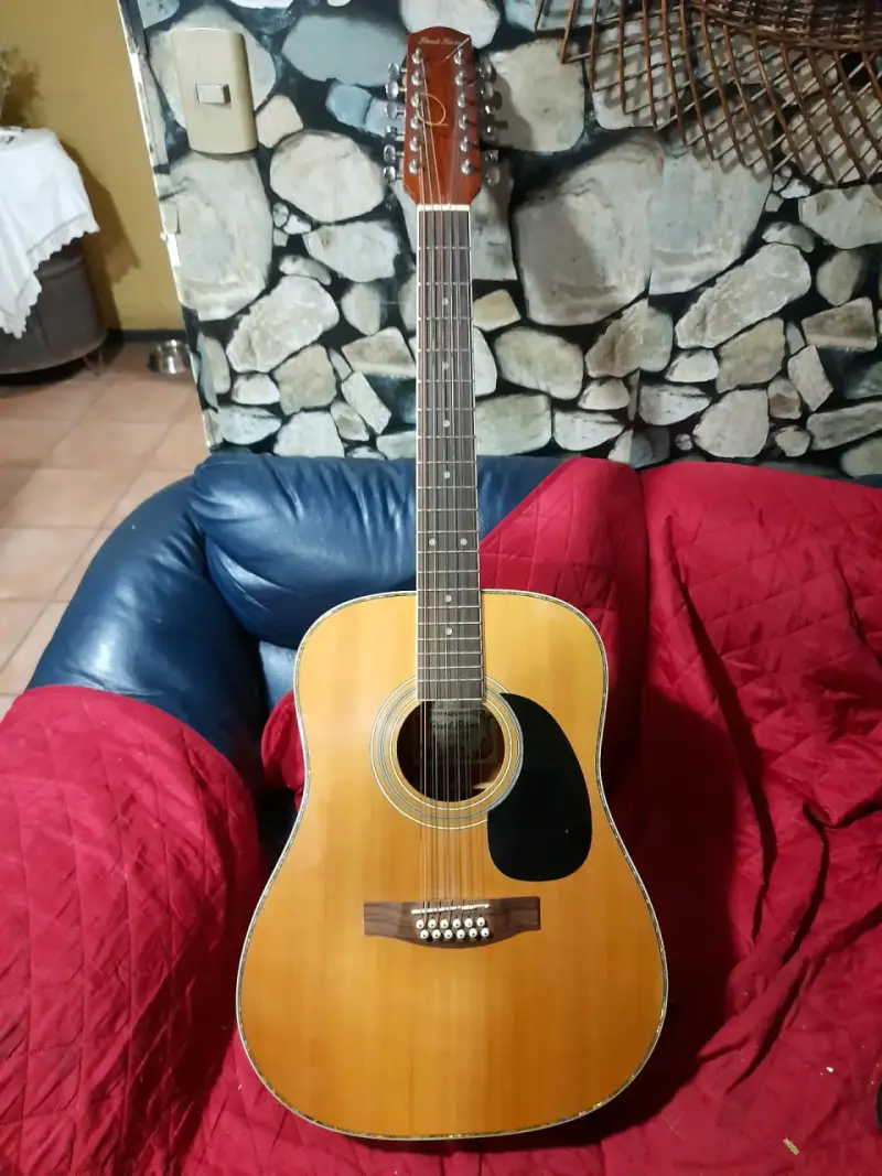 Guitarra acústica de 12 cuerdas - 6
