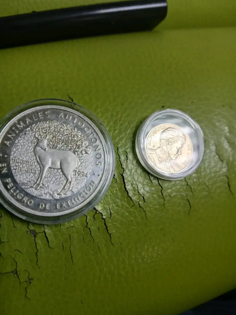 Monedas coleccionables en estuche - 1