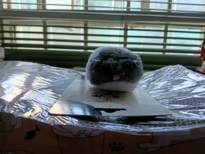 Rascador de cartón para gatos - miniatura 3