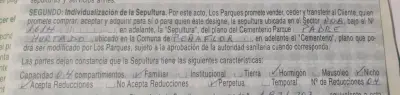 Sepultura familiar - miniatura 4