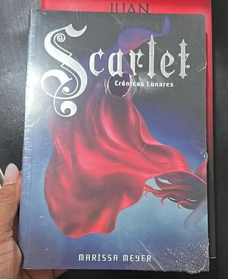 Libro El Día que se Perdió el Amor - 4