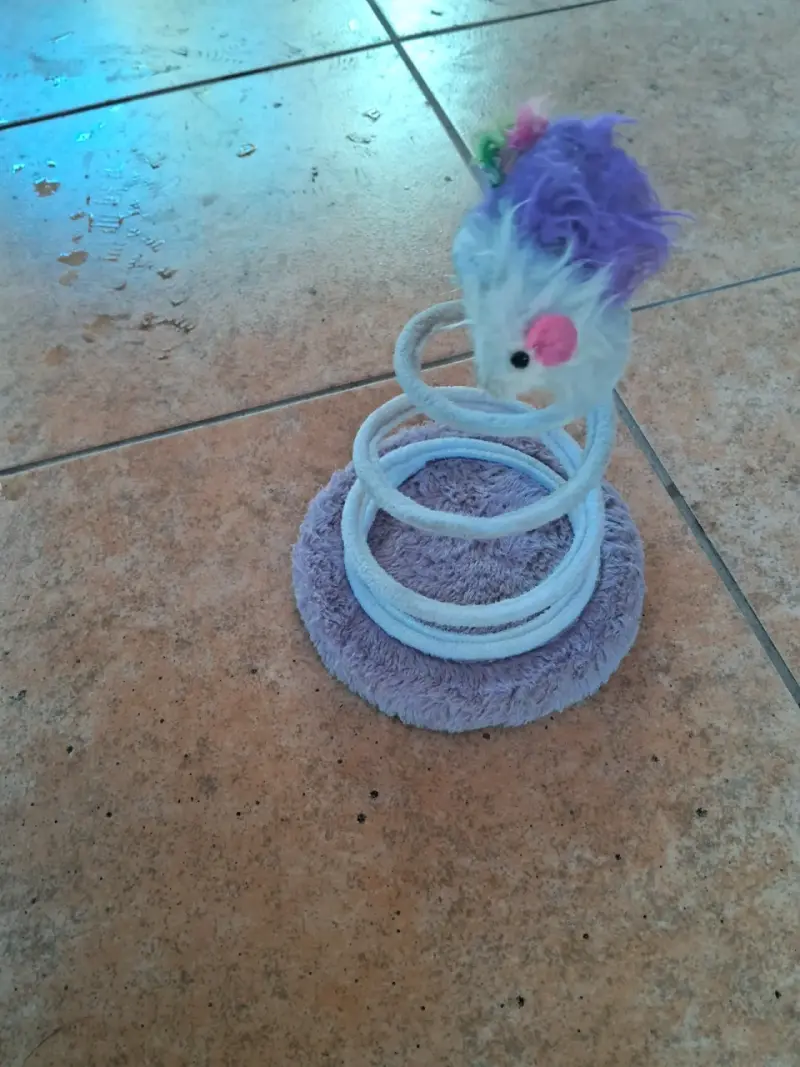 Articulos de mascotas - 3