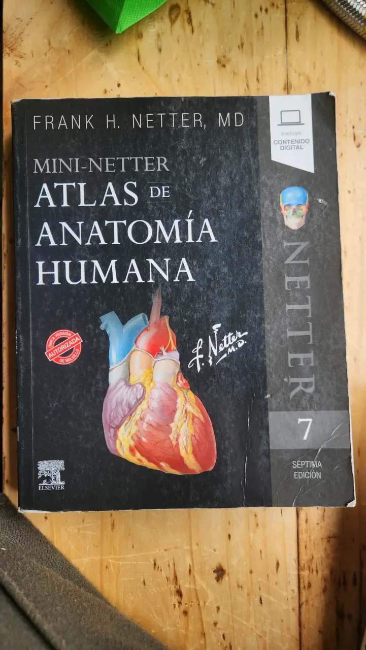Atlas de anatomía humana - Netter