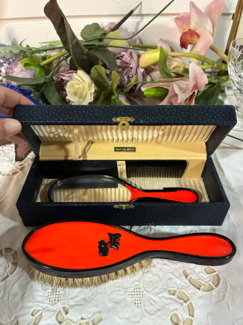 Set de cepillos vintage - 1