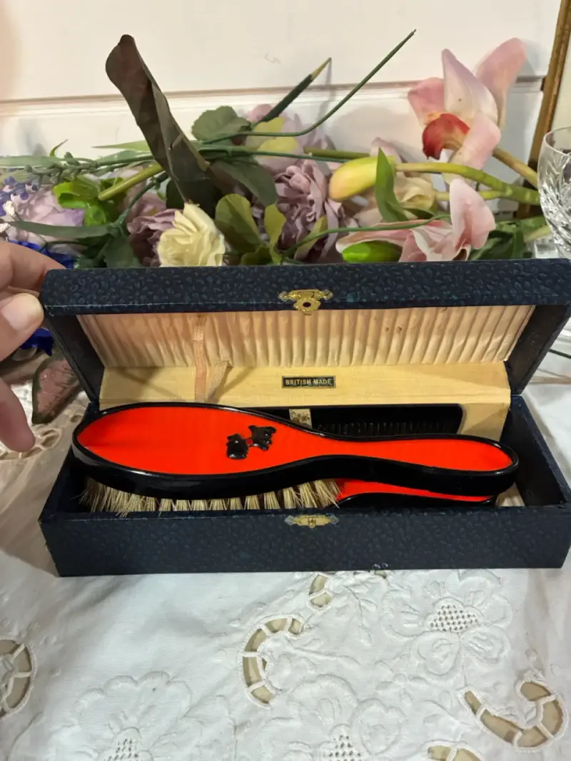 Set de cepillos vintage - 2