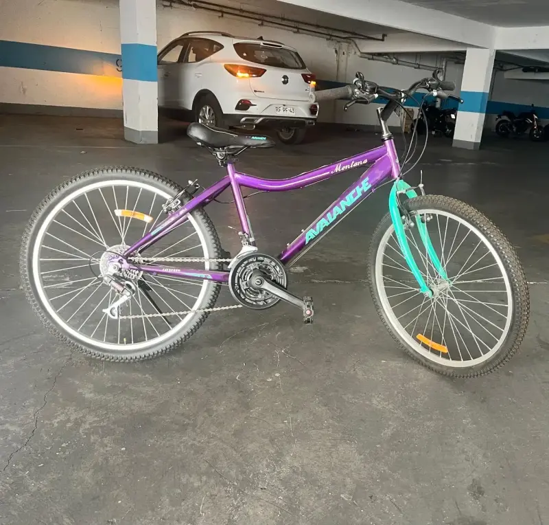Bicicleta Avalanche Montañesa Morada aro 24
