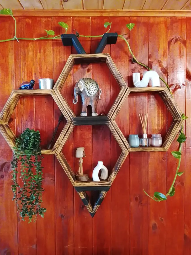 Estantería hexagonal abeja ,lámparas,mesa geodesia - 1