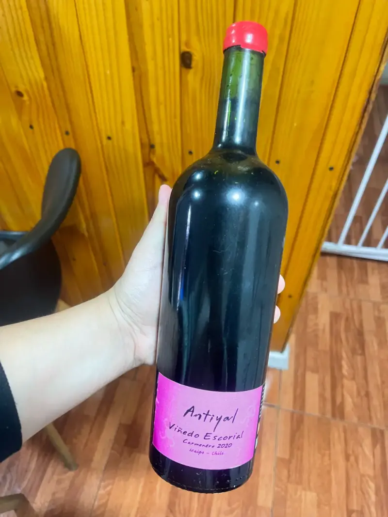 Vino Antiyal Carménère 2020