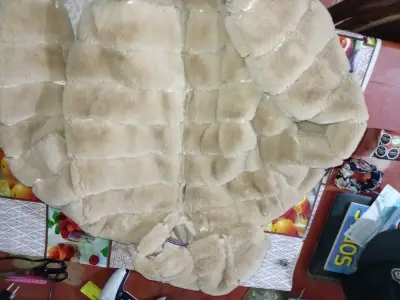 Chaqueta de piel sintética beige - miniatura 1