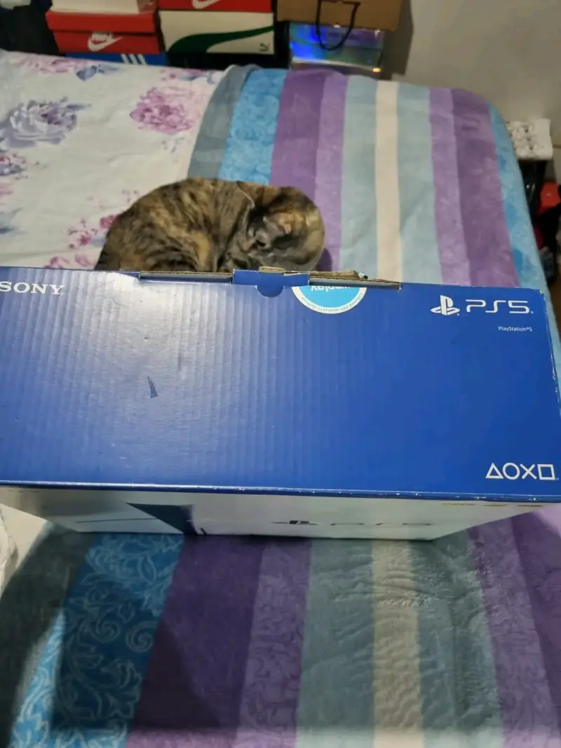 Consola PlayStation casi 5 nueva - 5